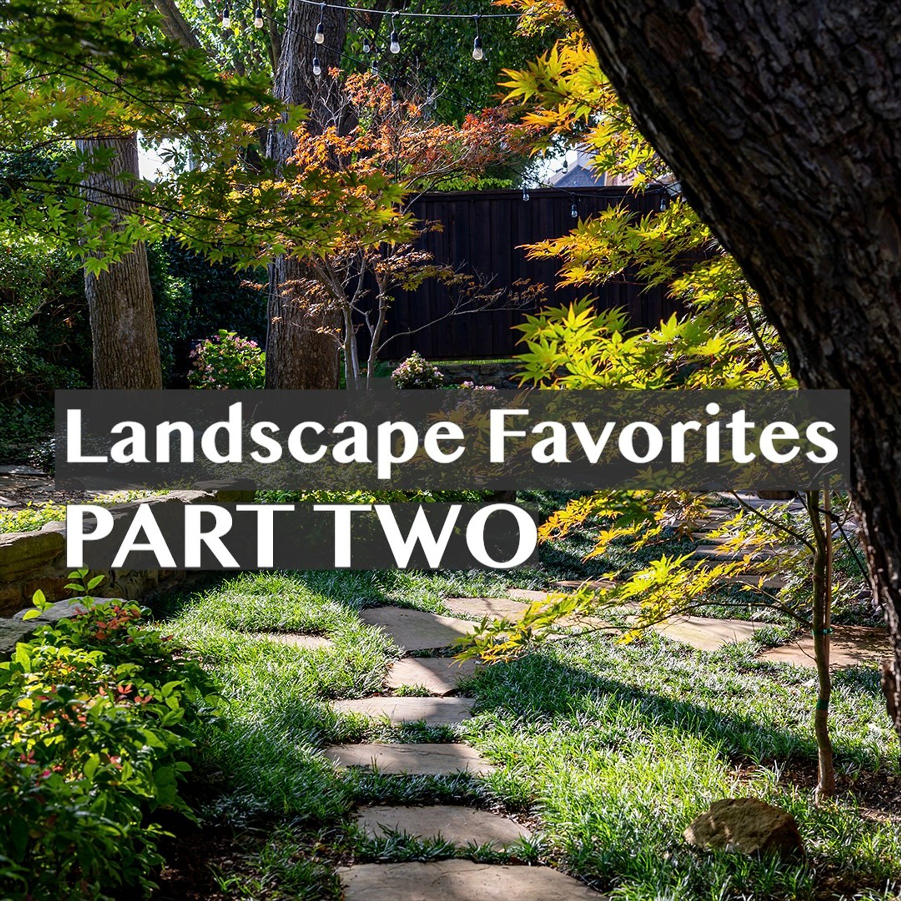 Favorite DFW Residential Landscapes — Part 2